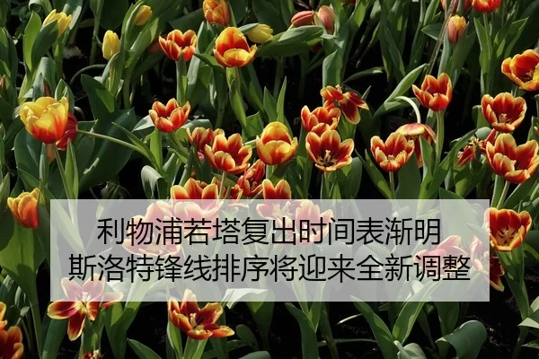 利物浦若塔复出时间表渐明 斯洛特锋线排序将迎来全新调整