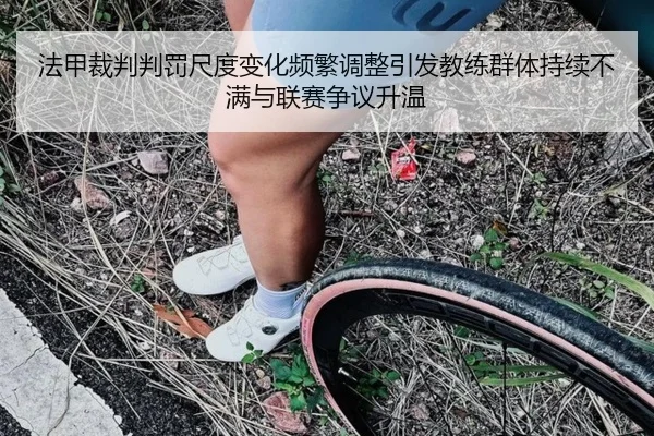 法甲裁判判罚尺度变化频繁调整引发教练群体持续不满与联赛争议升温