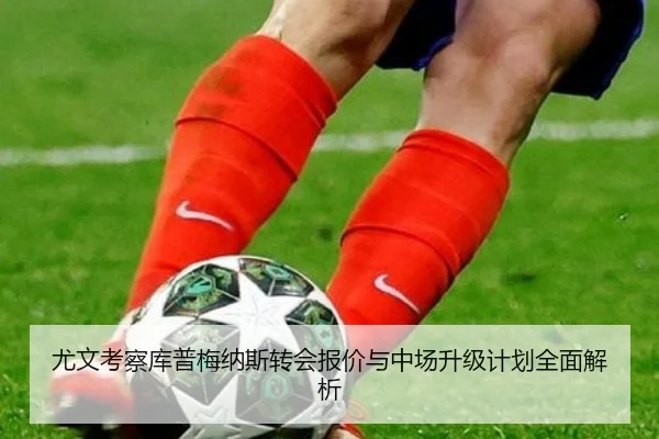 尤文考察库普梅纳斯转会报价与中场升级计划全面解析