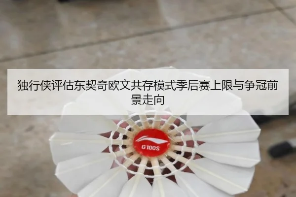 独行侠评估东契奇欧文共存模式季后赛上限与争冠前景走向