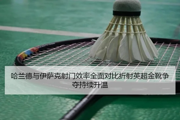 哈兰德与伊萨克射门效率全面对比折射英超金靴争夺持续升温