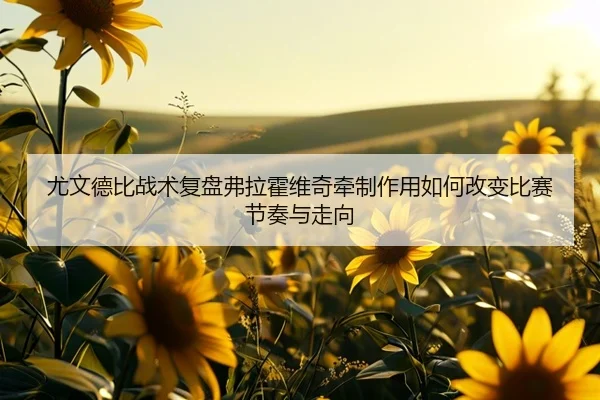 尤文德比战术复盘弗拉霍维奇牵制作用如何改变比赛节奏与走向